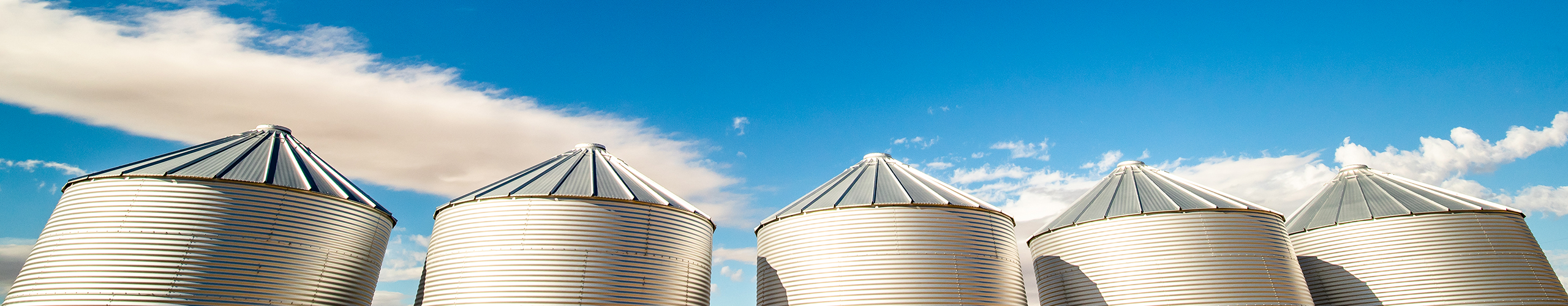 Top of grain bins against a bright blue sky
