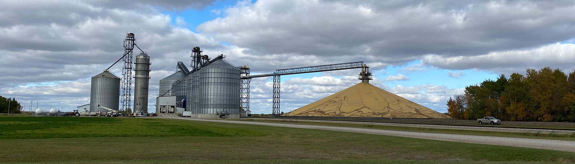 Soybeans at CHS Erskine facility