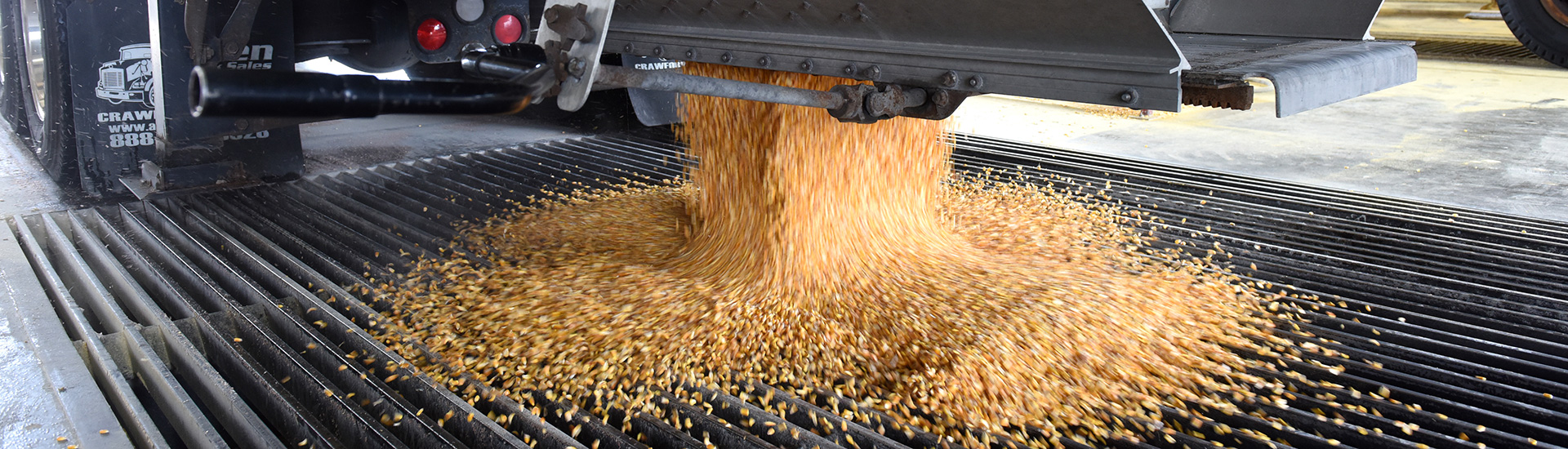 semi unloading grain at grain elevator