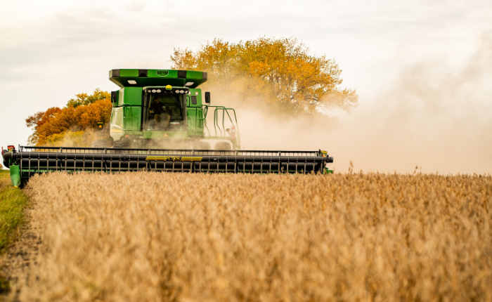 Combine harvesting a field